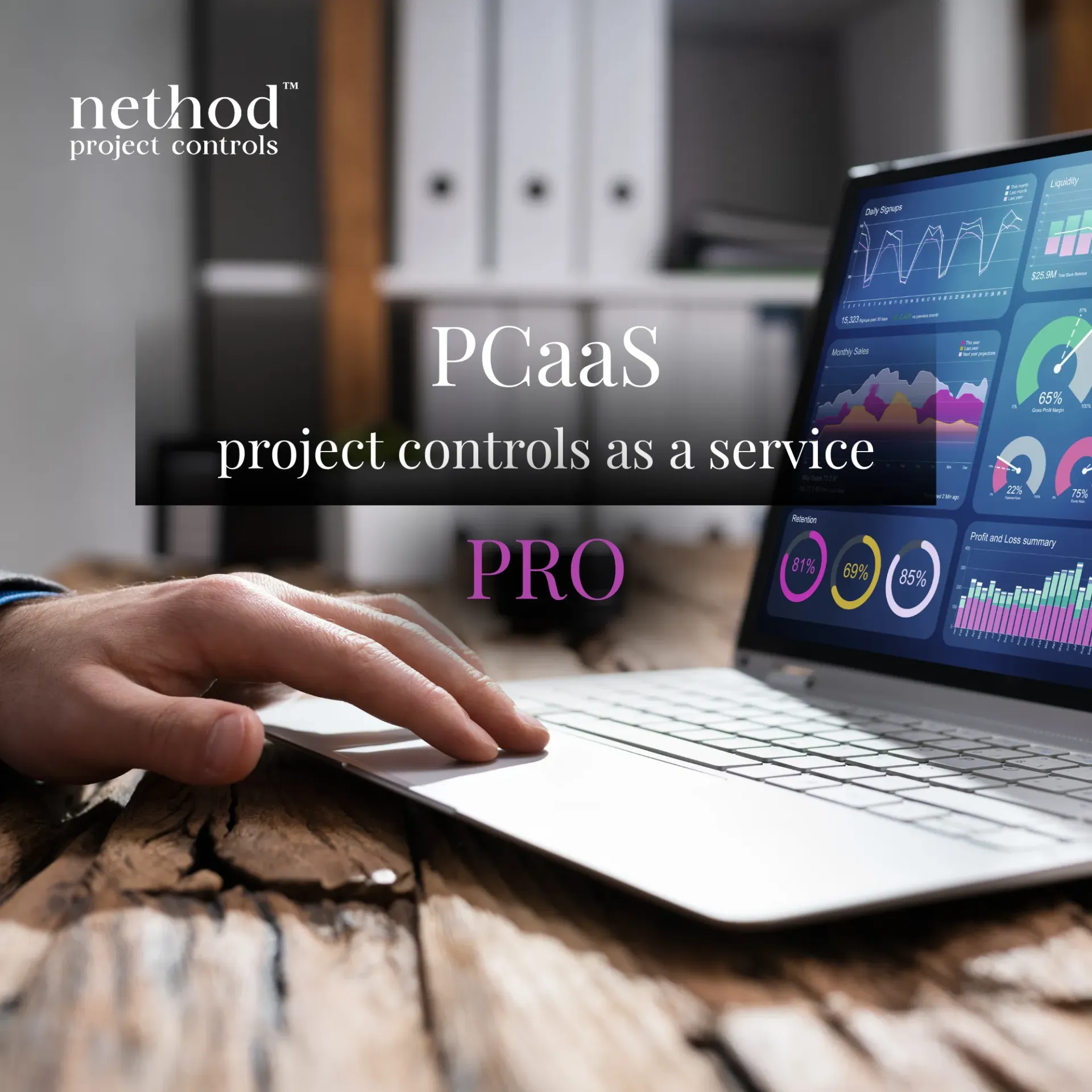 Project Controls as a Service - Pro